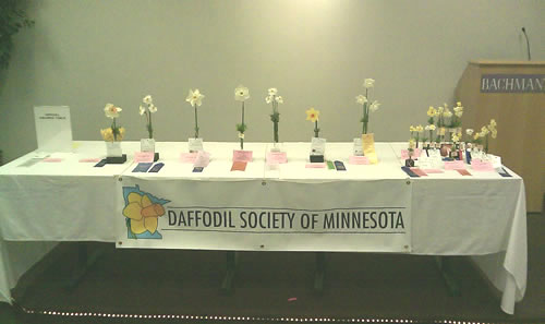2010 Awards Table